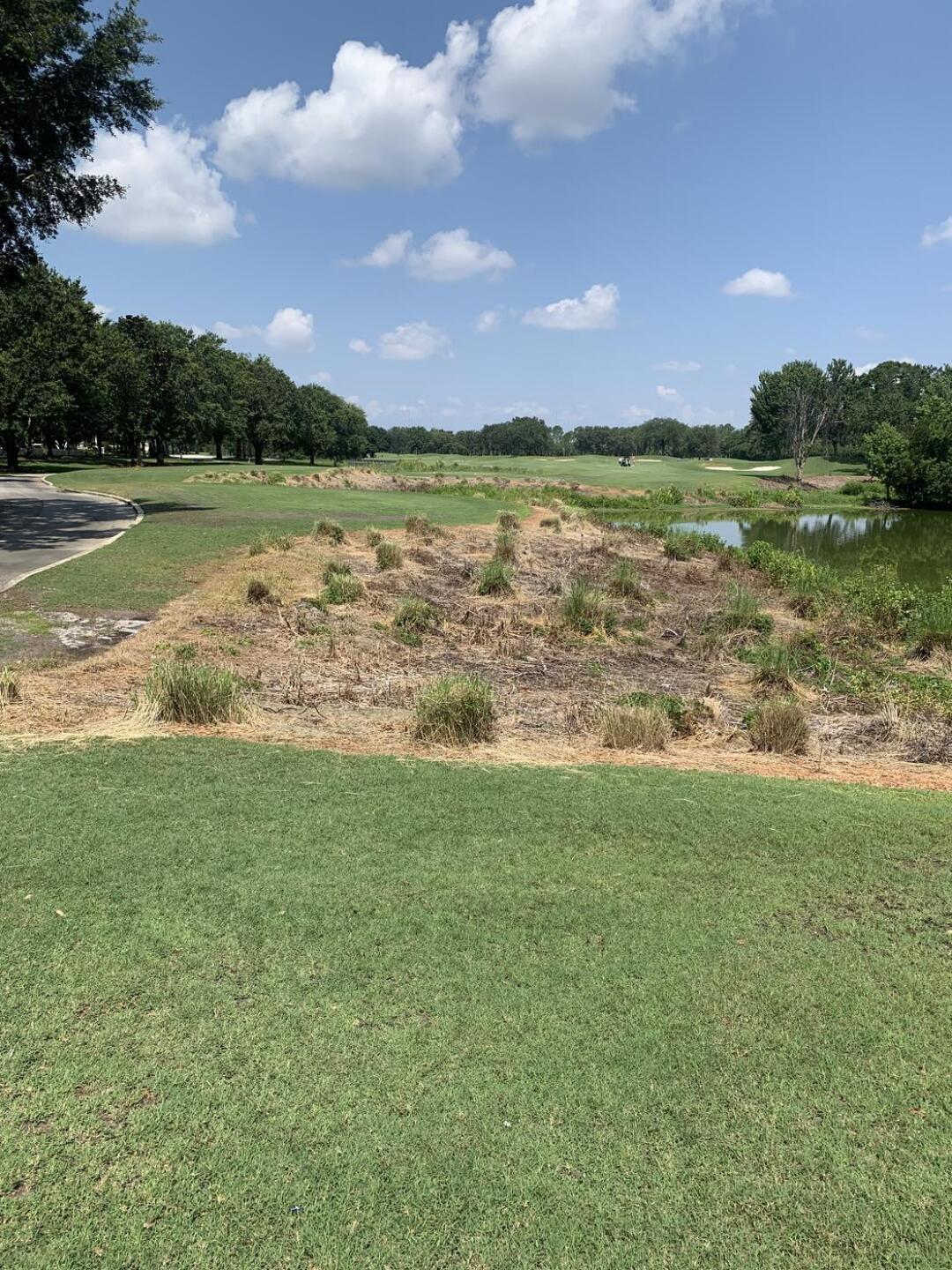 (Photo submitted by Sanford10 on 06/12/2023)