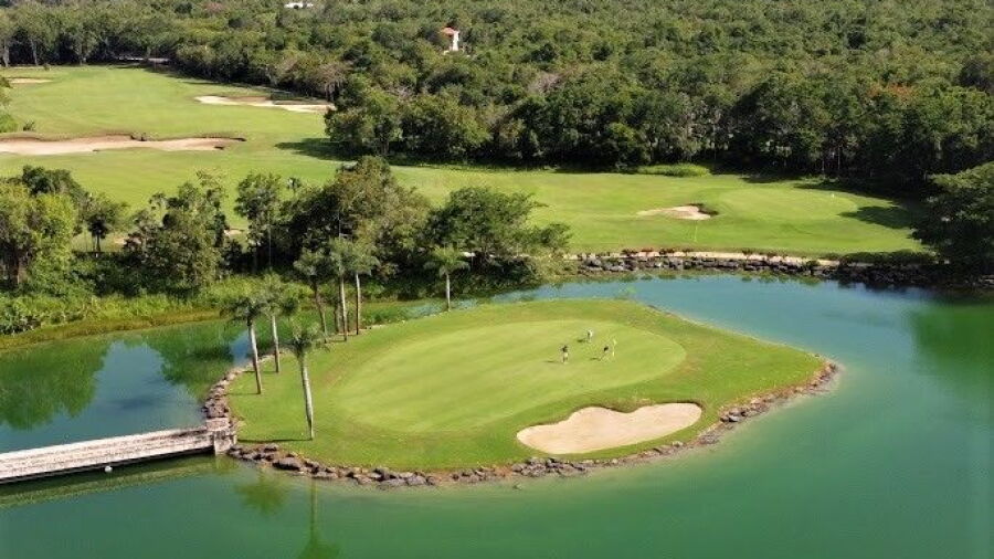 Guavaberry GCC: #15