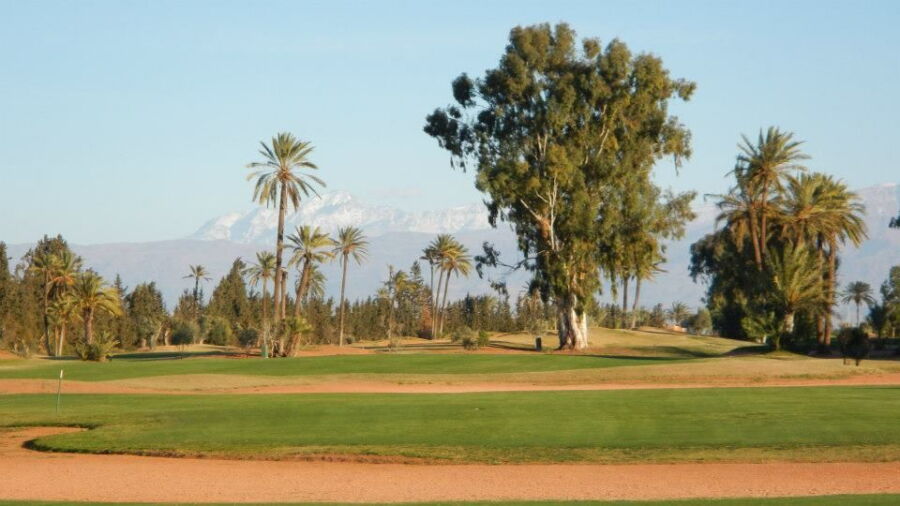 Amelkis GC