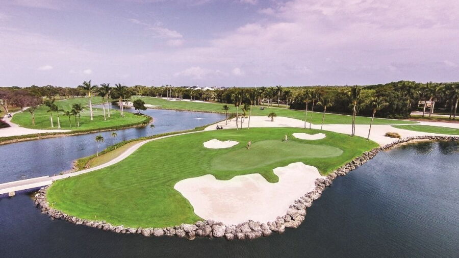 Dolphin at Ocean Reef Club: #5