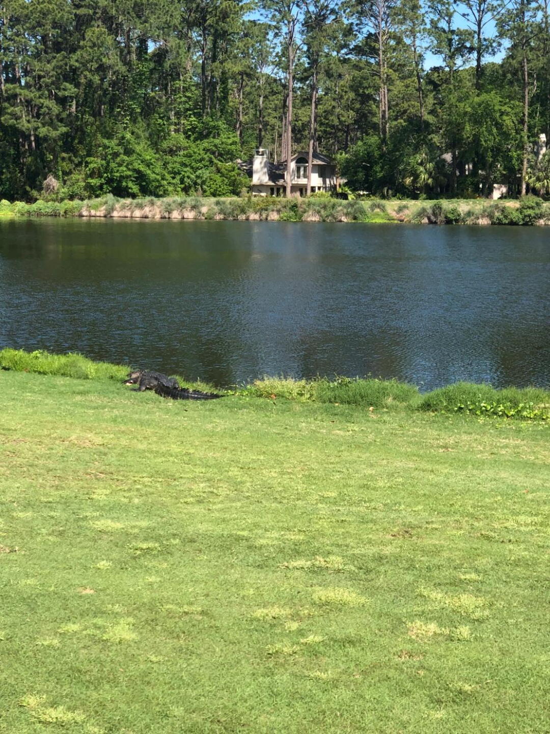 (Photo submitted by Darryldocking on 04/17/2019)