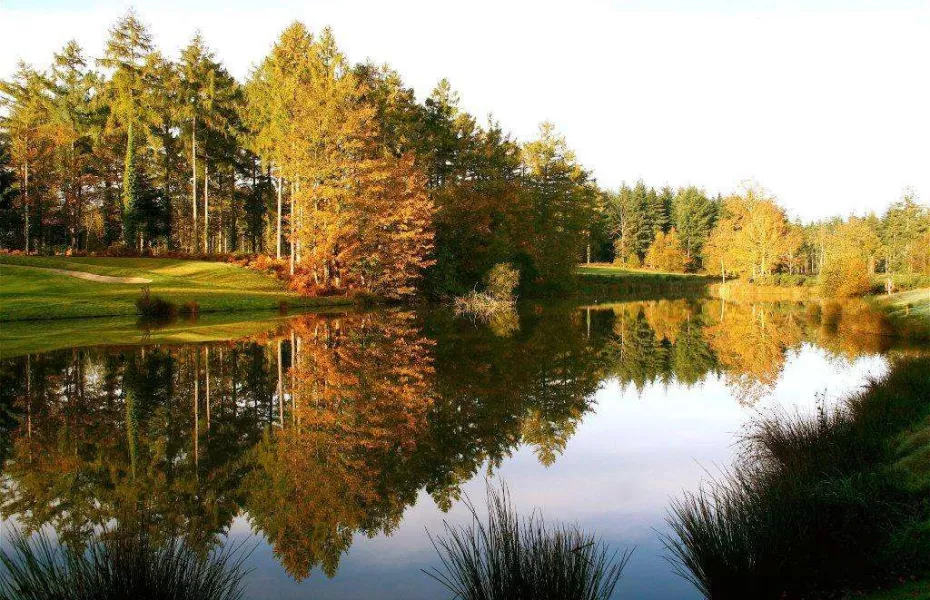 Water Hazard at Remedy Oak