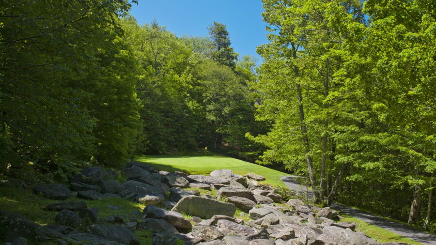 Mountain Springs at Grandfather GCC: #7