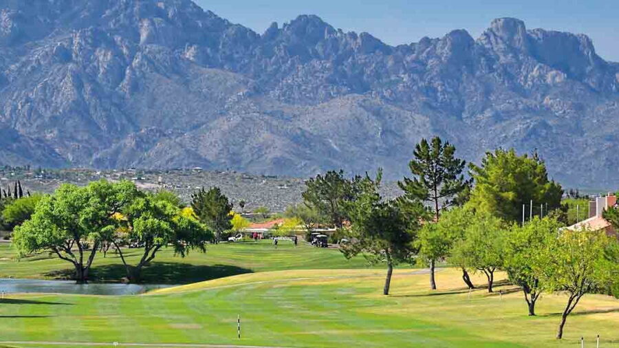 SaddleBrooke CC