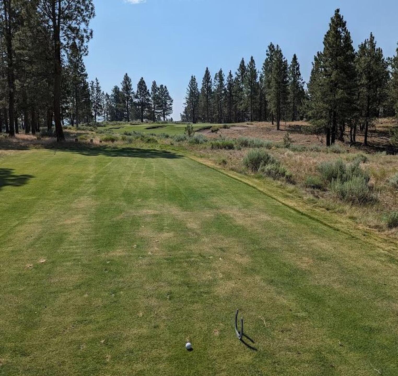 (Photo submitted by sorenj on 07/28/2023)