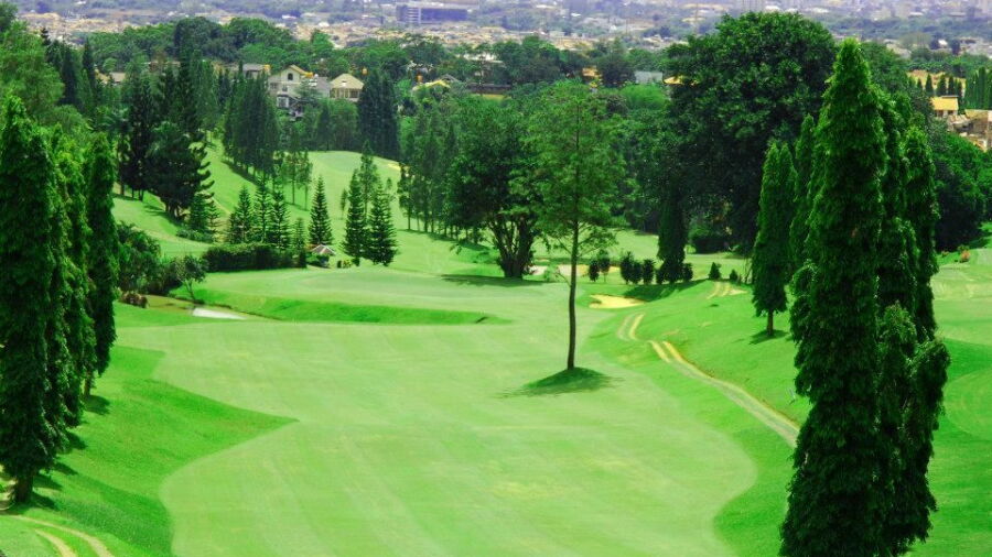 Dago Heritage 1917 GC