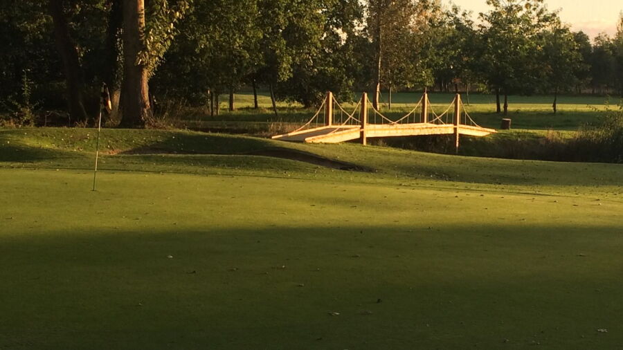 Theale GC