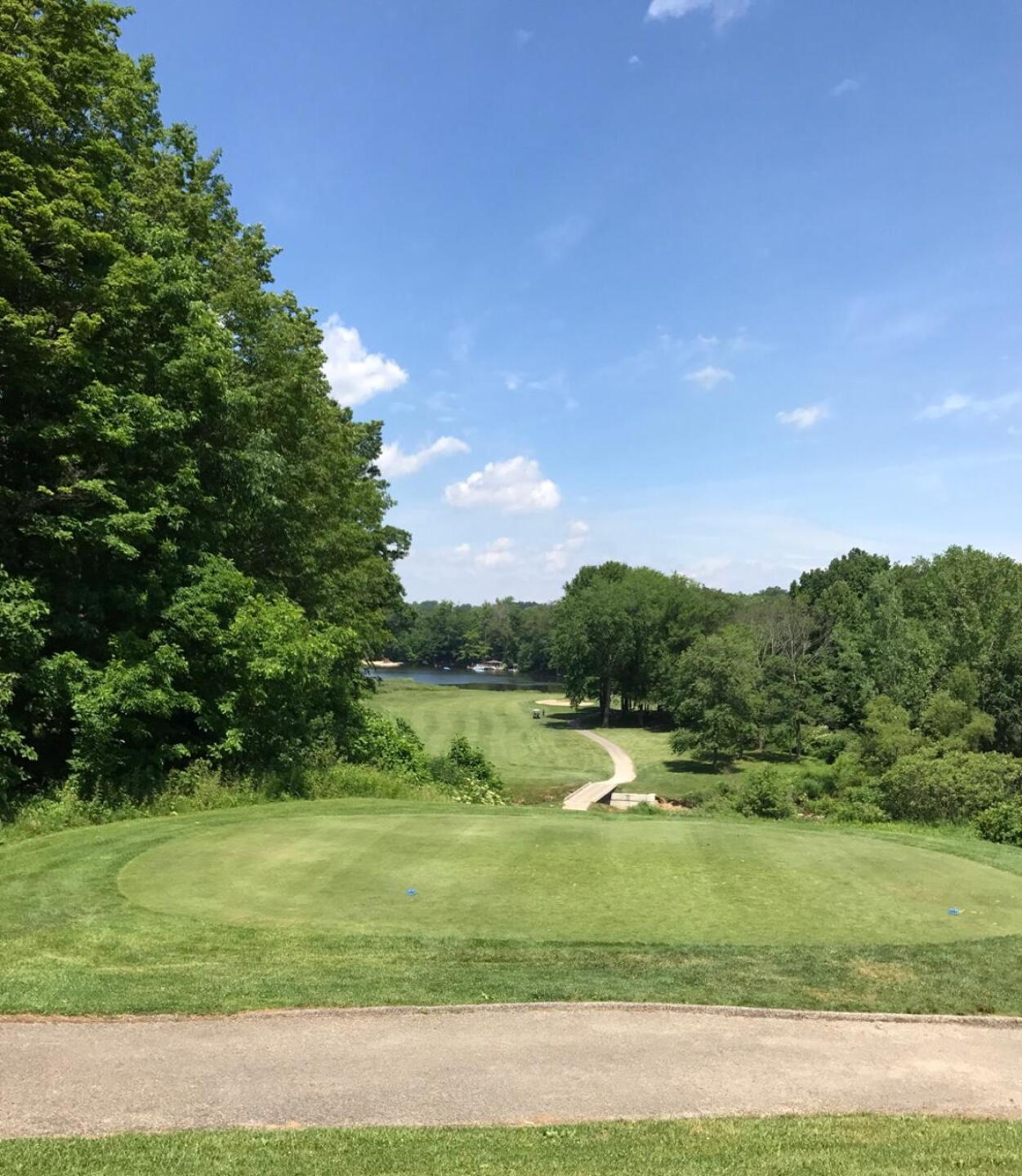 #8 par 4 fairway from tee box (Photo submitted by carolinadad on 06/24/2017)