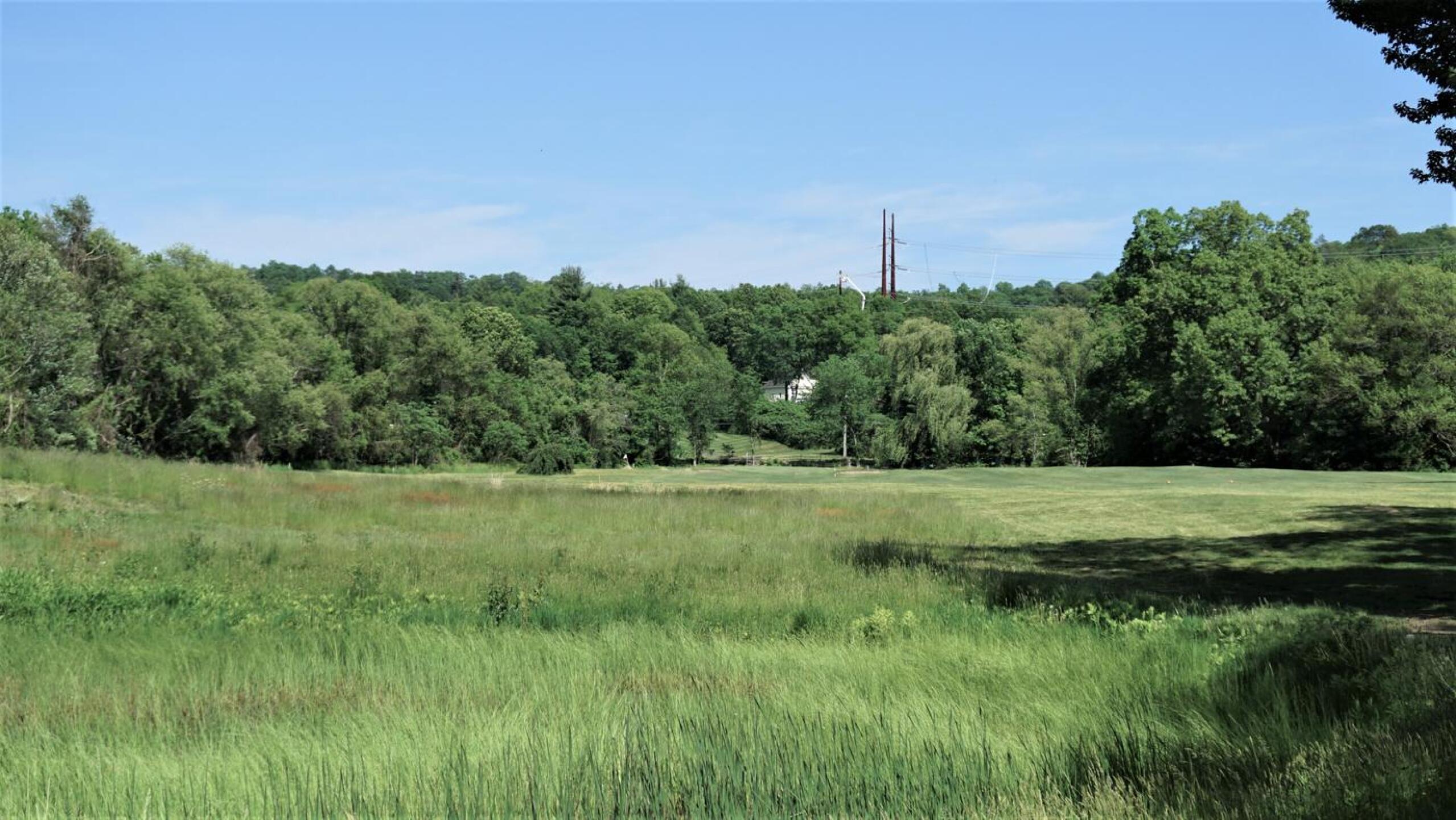 Seven. Attractive setting with the drive (from the blues) over marshland. (Photo submitted by AptlyLinked on 05/26/2021)
