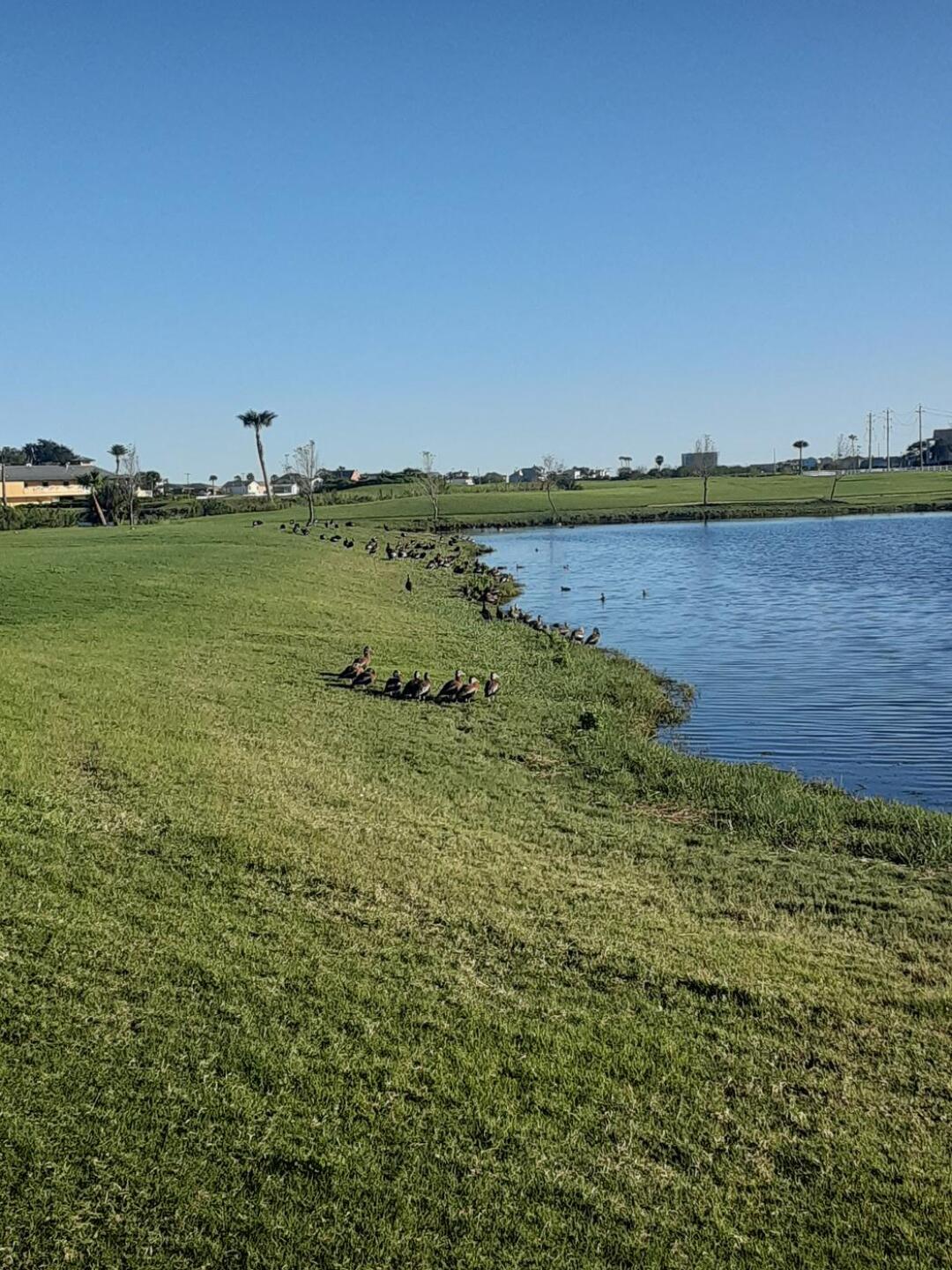 (Photo submitted by u8529739 on 01/07/2023)