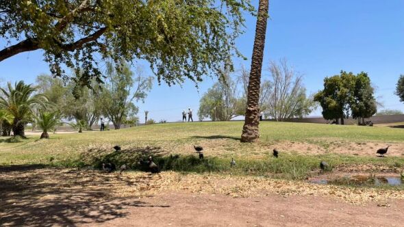Club de Golf de Ciudad Obregon