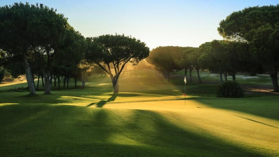 Dom Pedro Golf - Pinhal