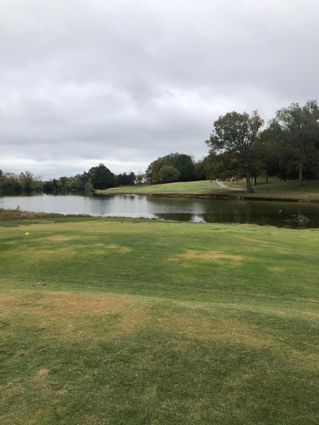 (Photo submitted by ltqZPoI0RaZyQj4aVU9t on 10/28/2019)