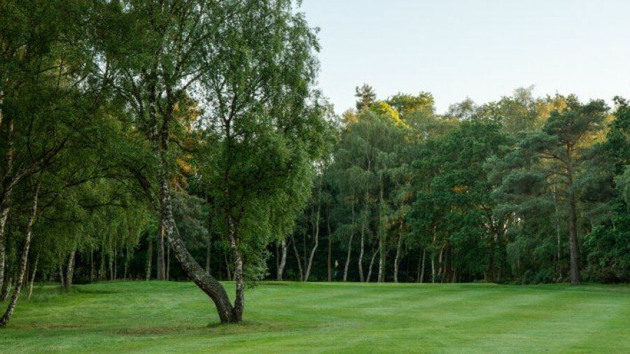 Army GC: #16