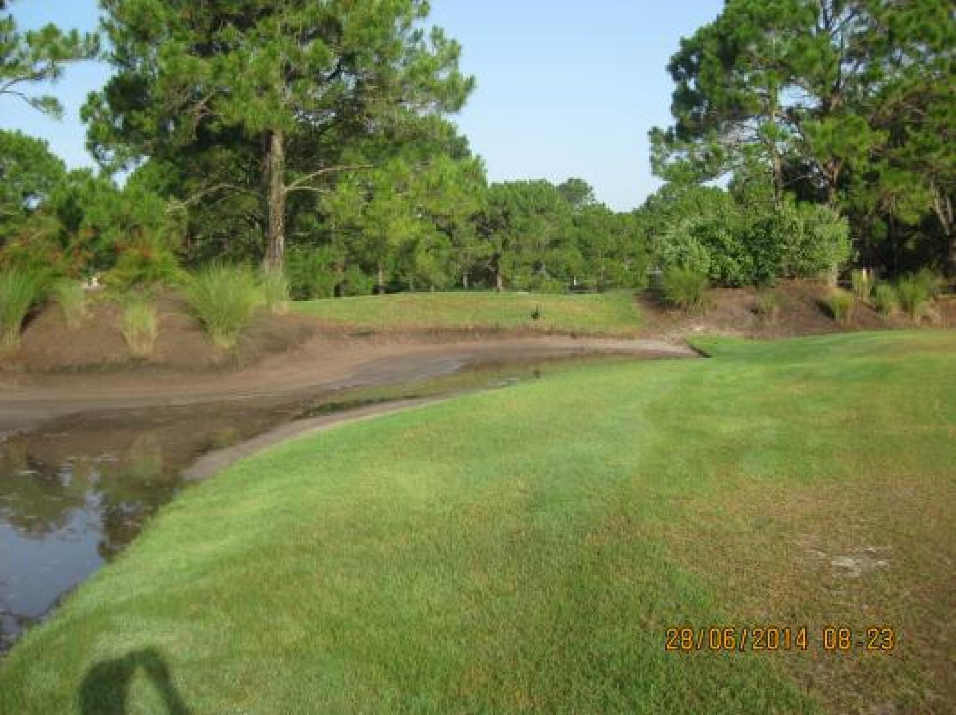 Ducks in the bunker. LOL (Photo submitted by Steve8905914 on 08/18/2014)