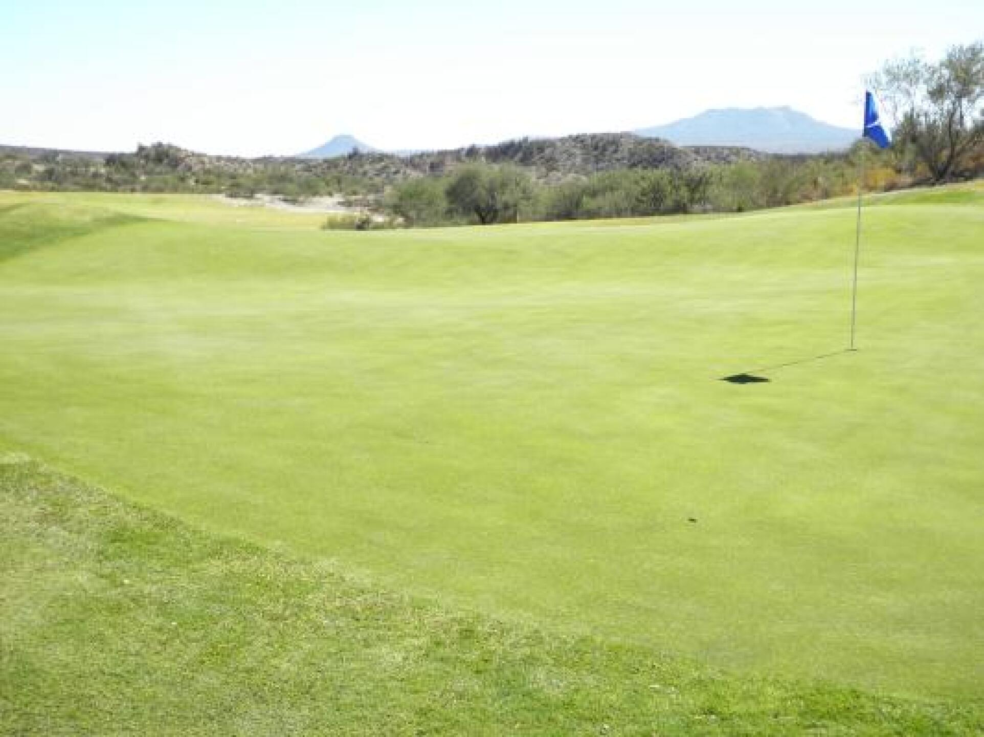 (Photo submitted by WorktoPlay on 10/20/2013)