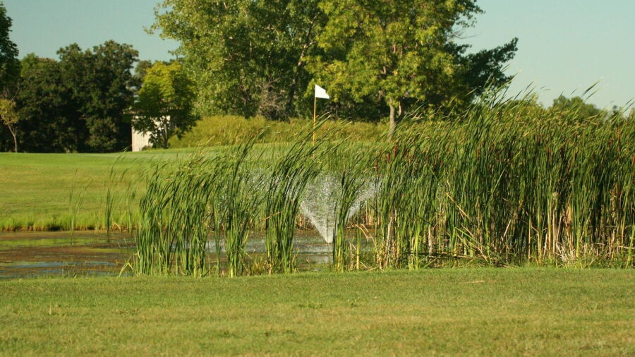 Maple River GC