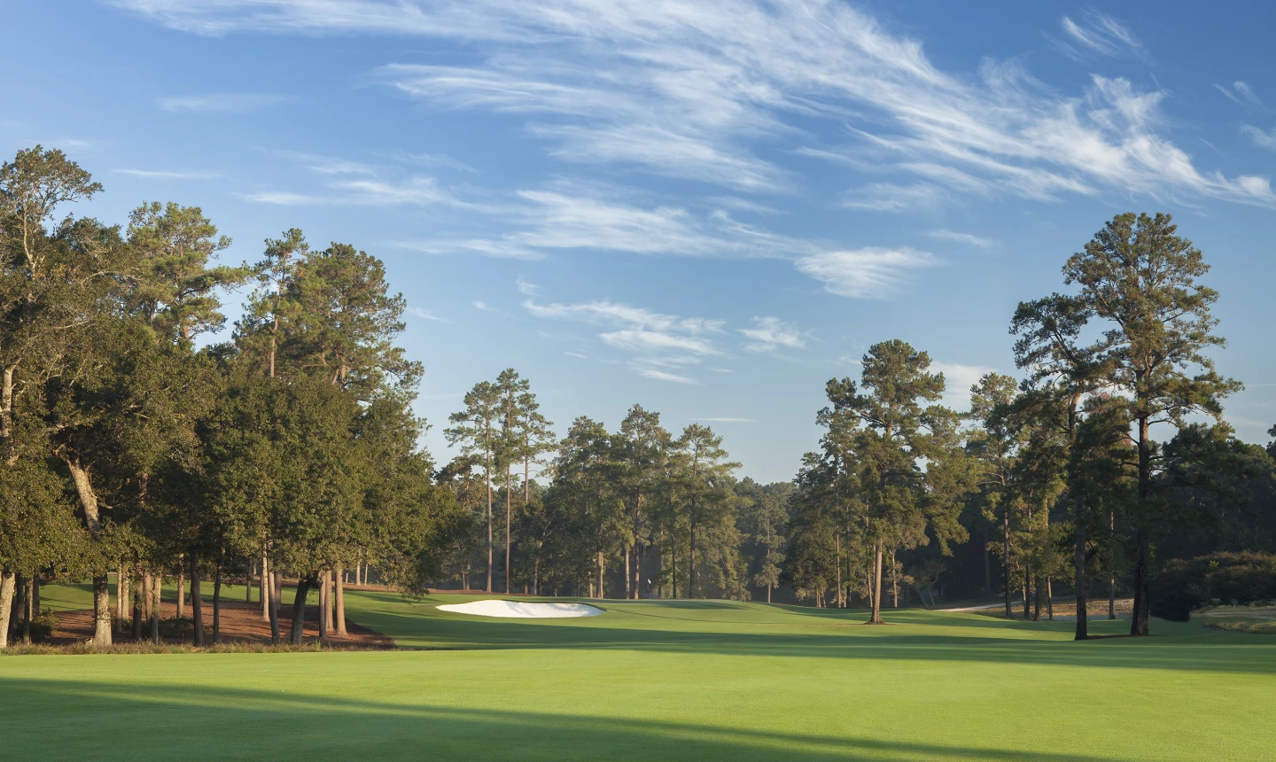Bluejack National Golf Club - no. 5