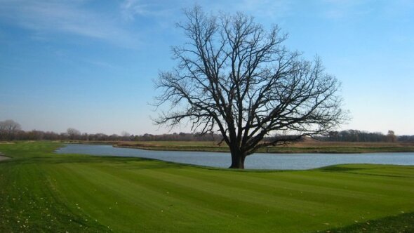 Bowes Creek golf course