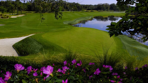 Grand Cypress Resort - South Course - 6th