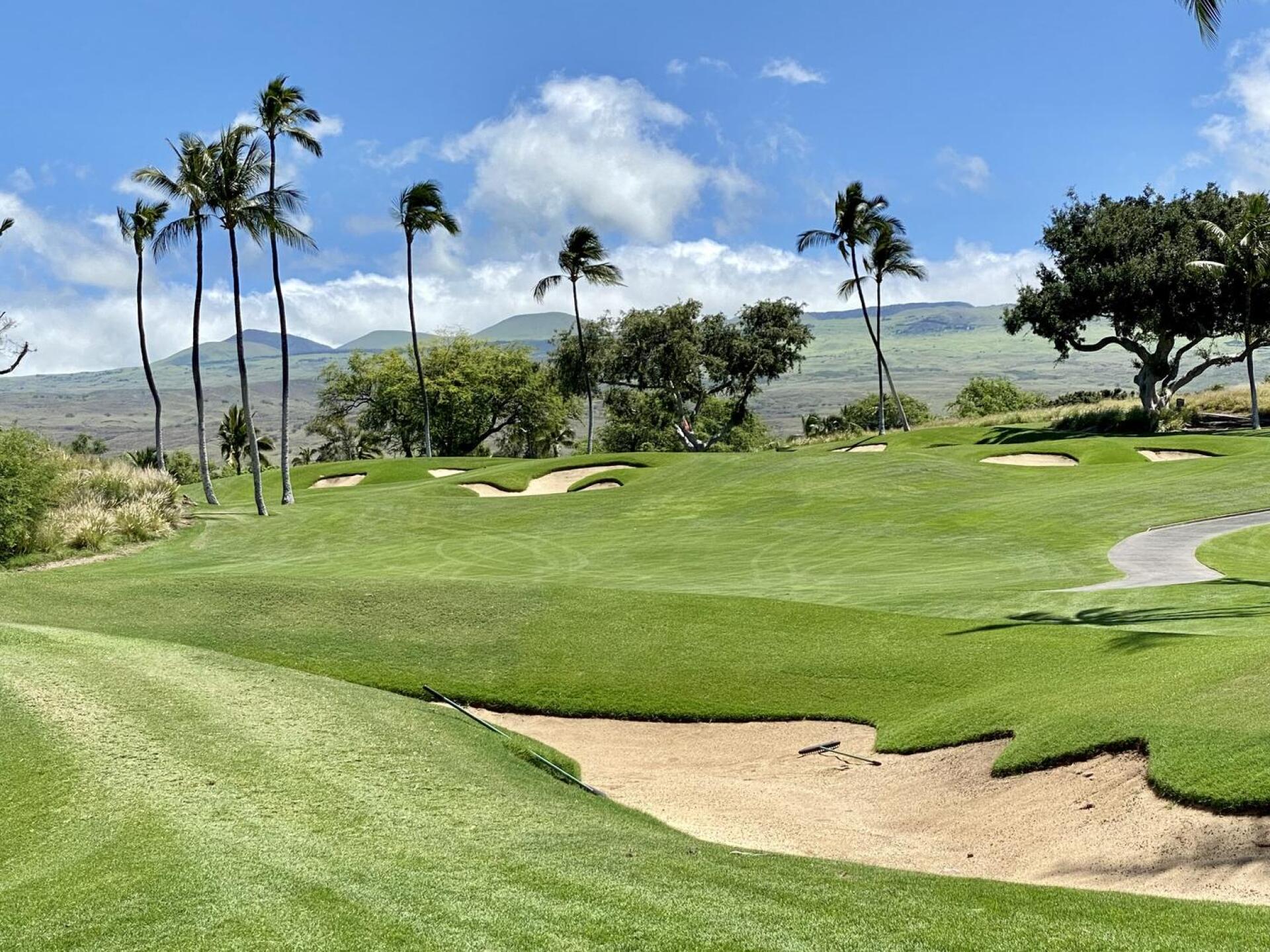 #1 approach (Photo submitted by u000001012847 on 05/02/2023)