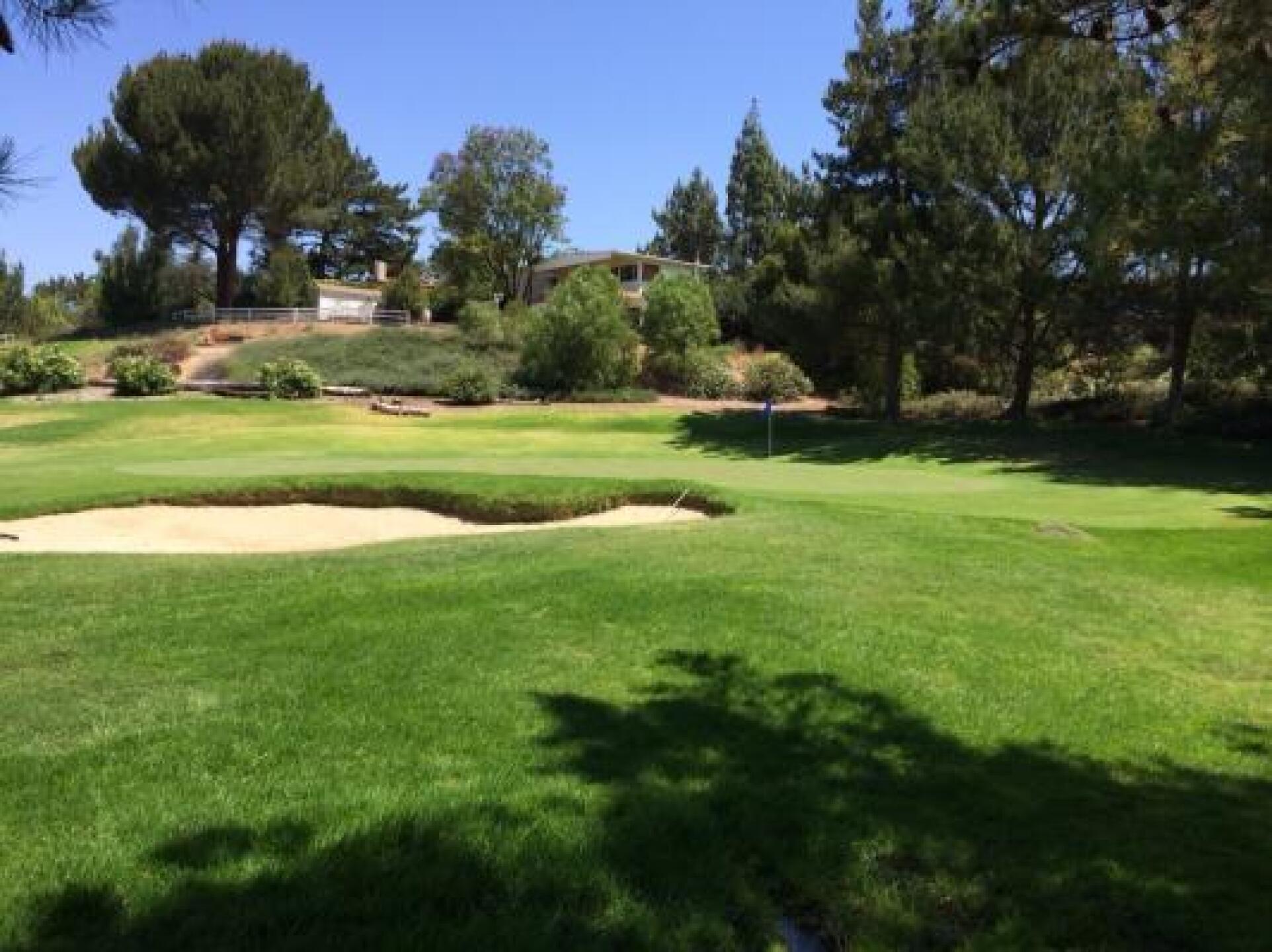 #7 green (Photo submitted by robert9796127 on 06/25/2014)