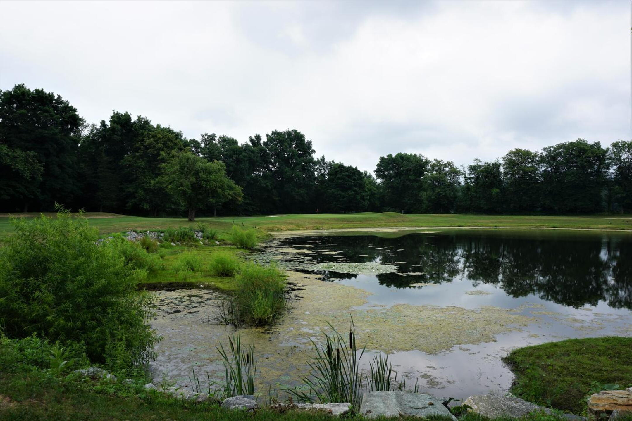 PGA Pro Dave Cook added this tee at three, allowing hole to be played also as a 153-yard par three the second time around. (Photo submitted by AptlyLinked on 07/10/2020)