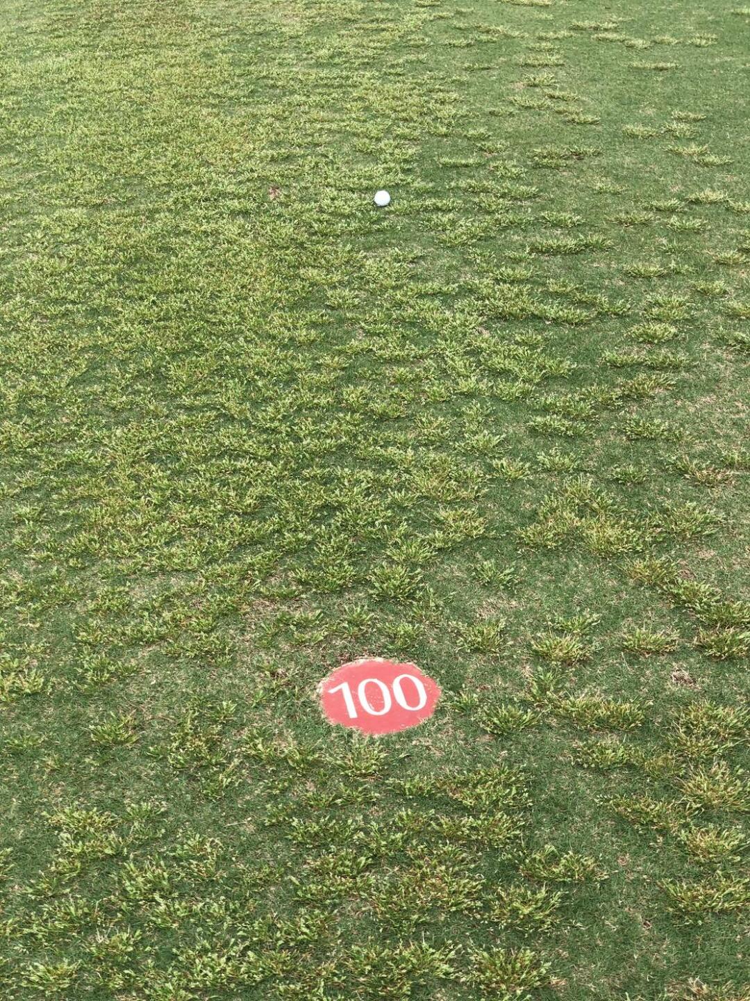 Hole # 1 after tee shot (Photo submitted by GIVENS65 on 05/15/2023)