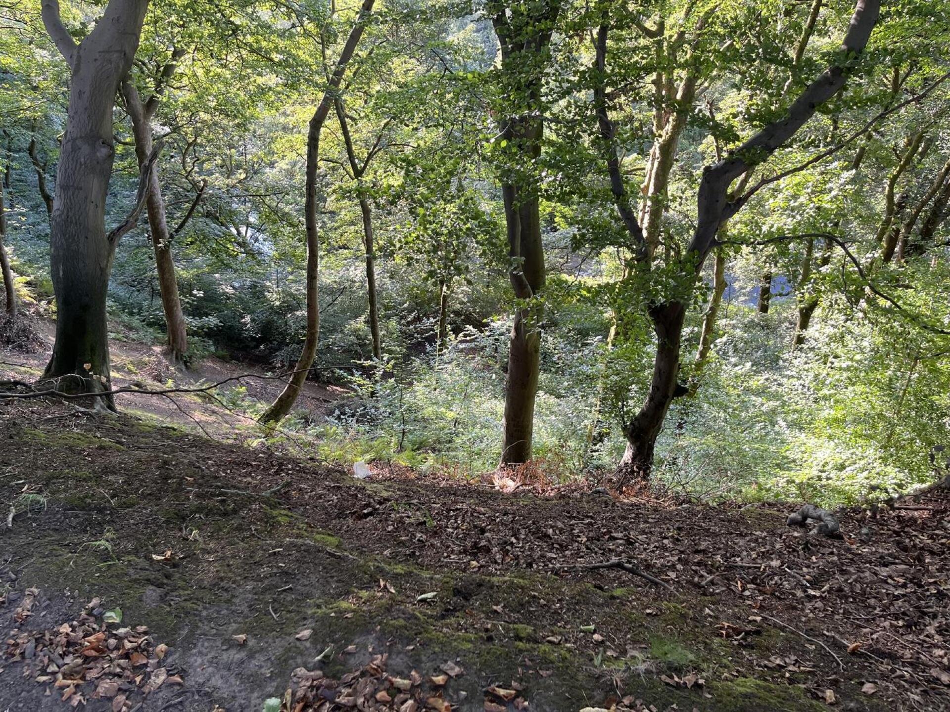 (Photo submitted by sFWQEJh5RU2h4MpIrGLO on 08/01/2025)