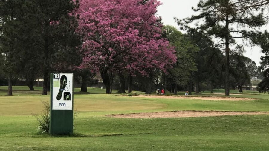 Chaco GC: #18
