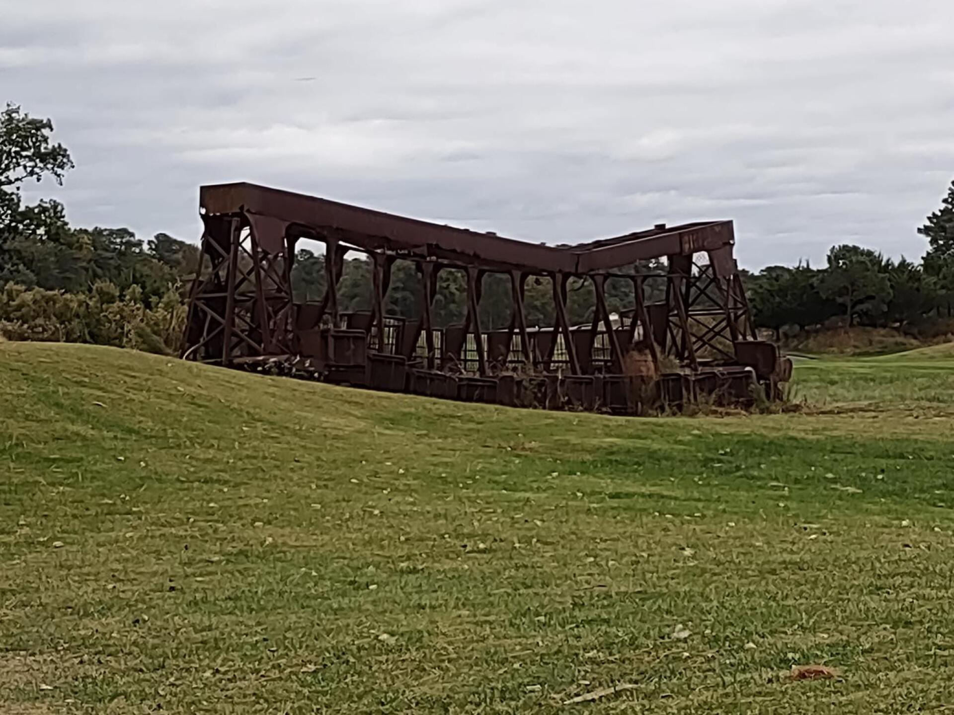 (Photo submitted by sixeagles on 10/31/2021)