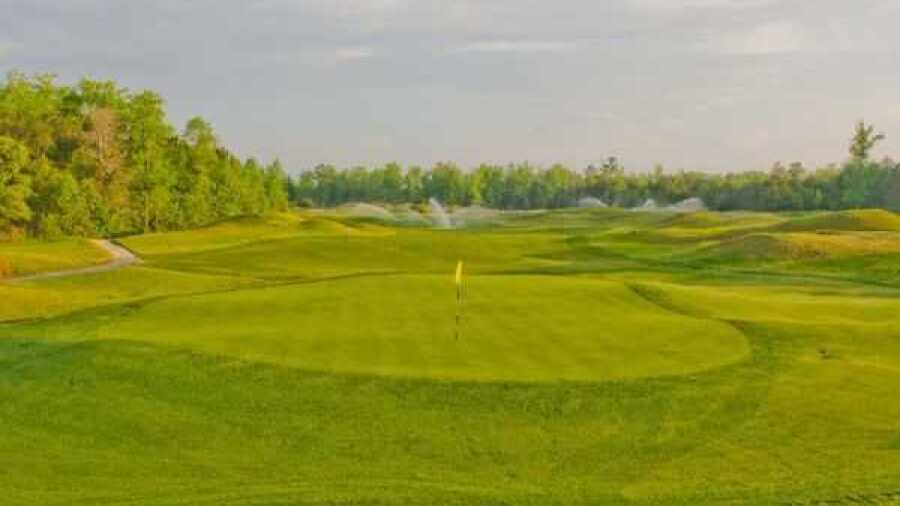 Barefoot RG - Dye: #5