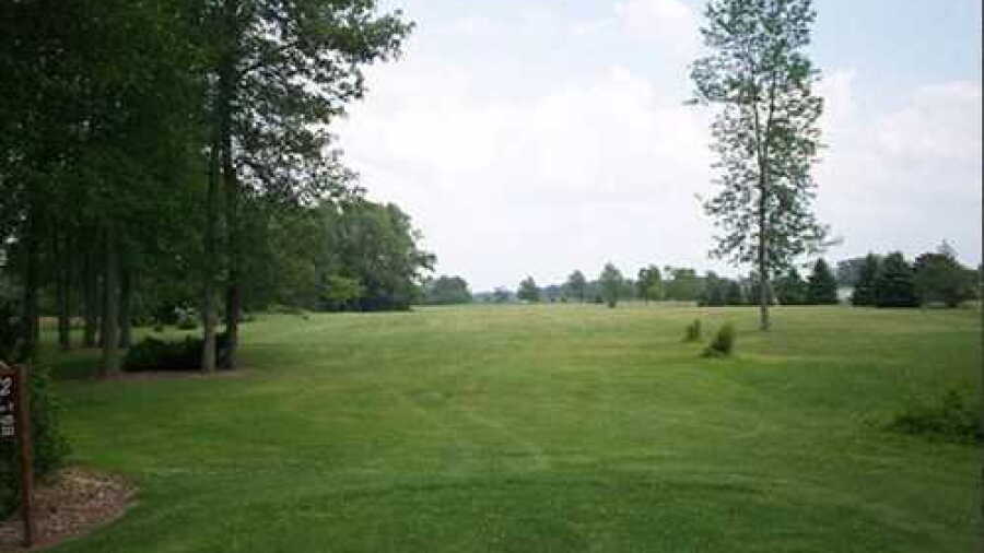Ricci Meadows GC