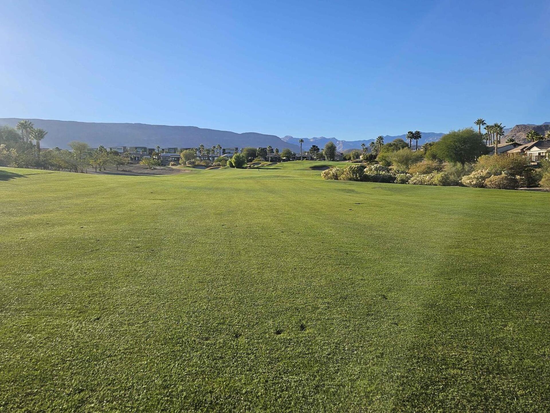 (Photo submitted by u314161622535 on 12/13/2025)