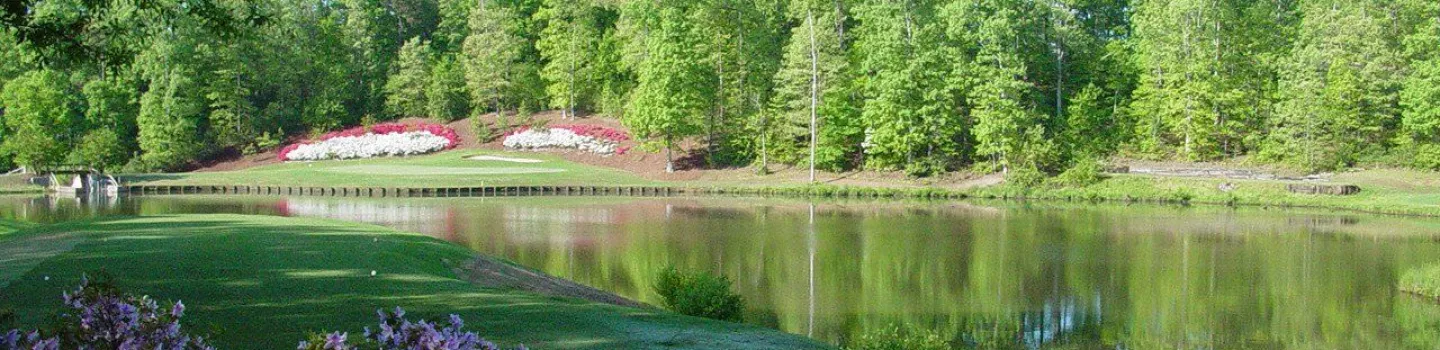 The Preserve at Verdae
