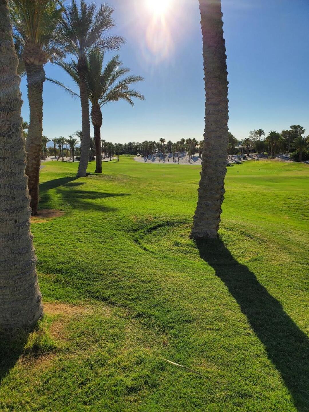 The best (Photo submitted by u689075704 on 07/05/2020)