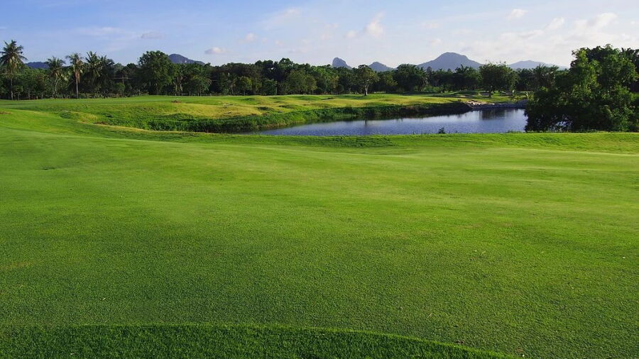 Phoenix Gold GCC