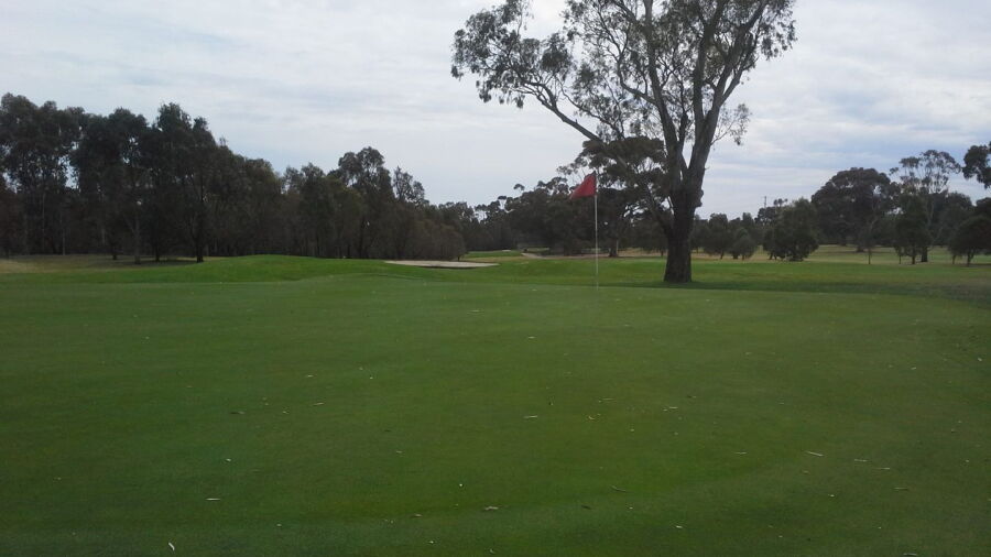 Royal Park GC
