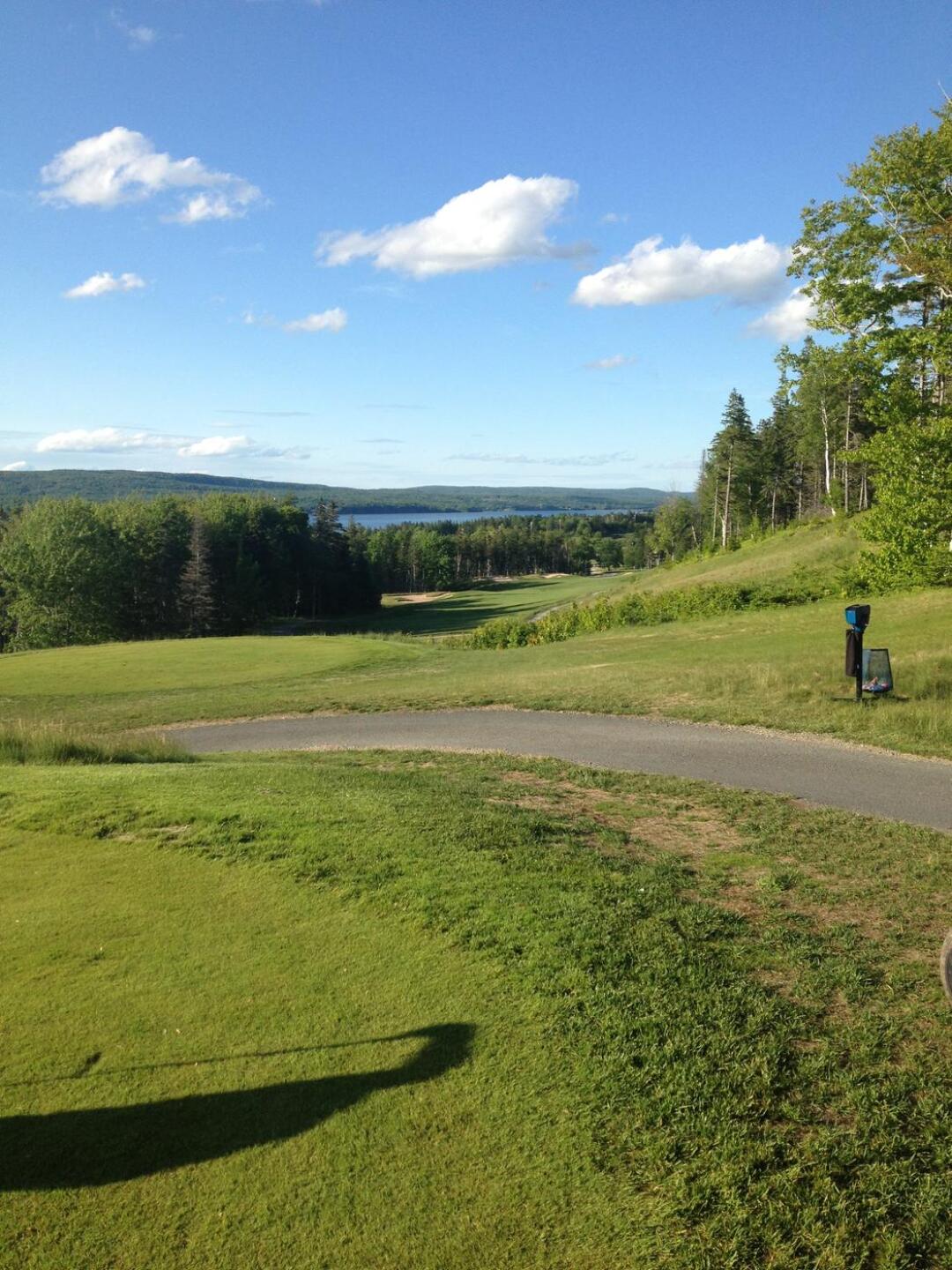 (Photo submitted by Minus2at49 on 07/14/2015)