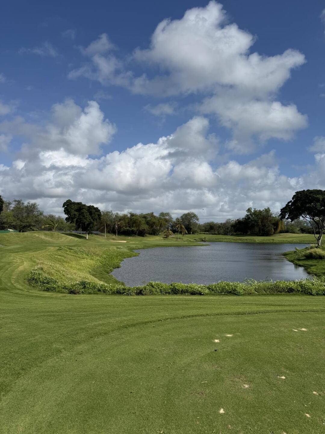 (Photo submitted by evanmelchior24 on 01/18/2026)