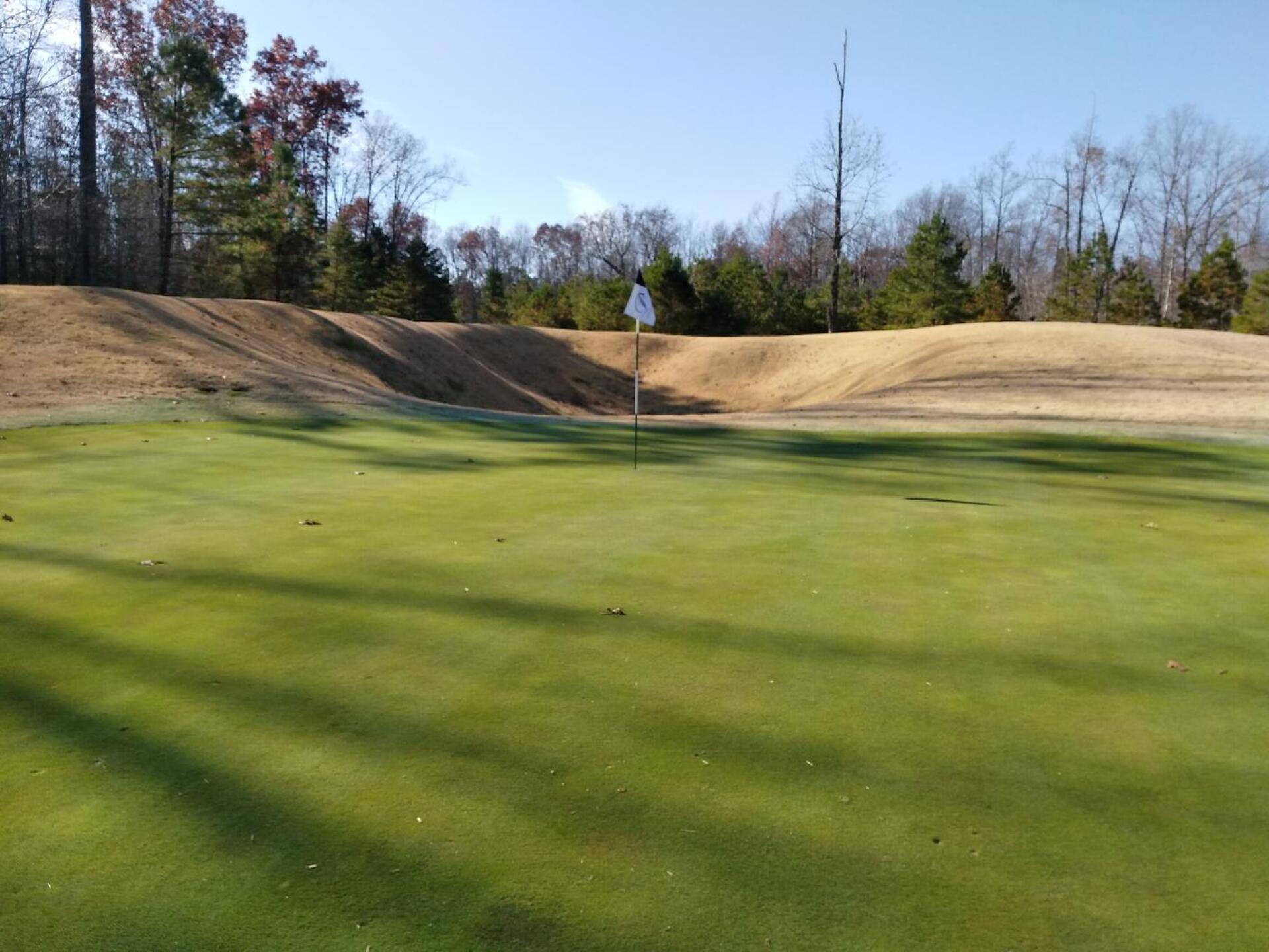 (Photo submitted by sixeagles on 12/08/2018)