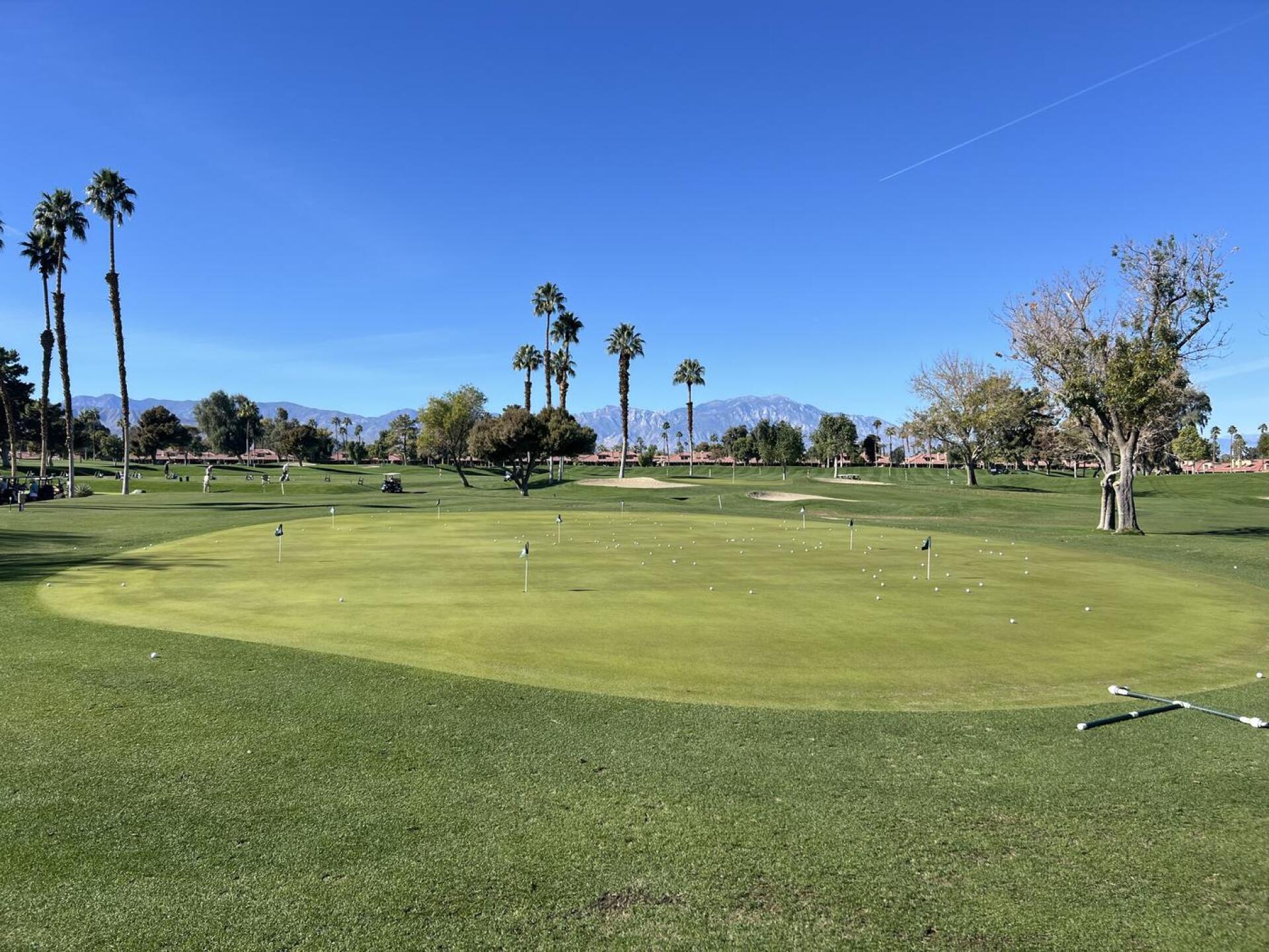 (Photo submitted by setch on 01/16/2026)