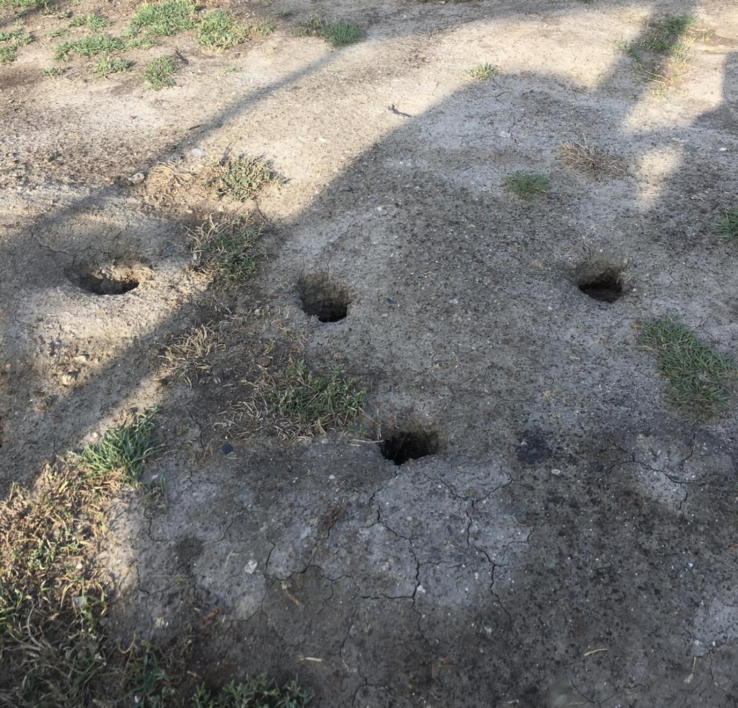 Lost balls in these burrows (Photo submitted by u00000868683 on 06/11/2022)