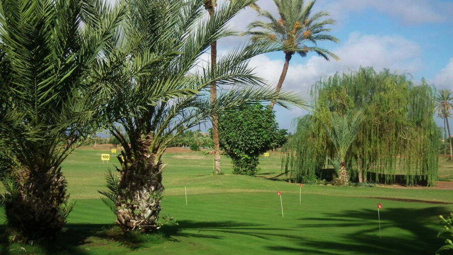 Amelkis GC: Practice area