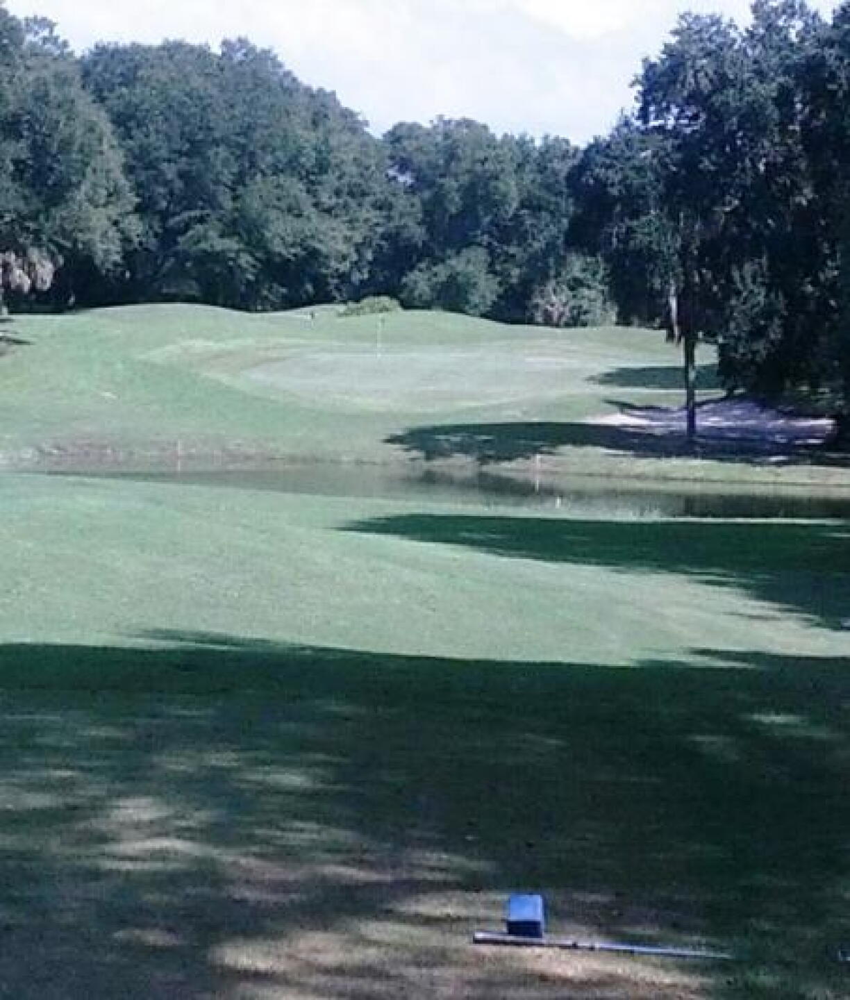 Par-3 17th one of few water holes (Photo submitted by HallandaleHitter on 10/13/2014)
