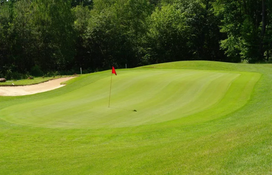 Barbarossa GC Kaiserslautern: #15