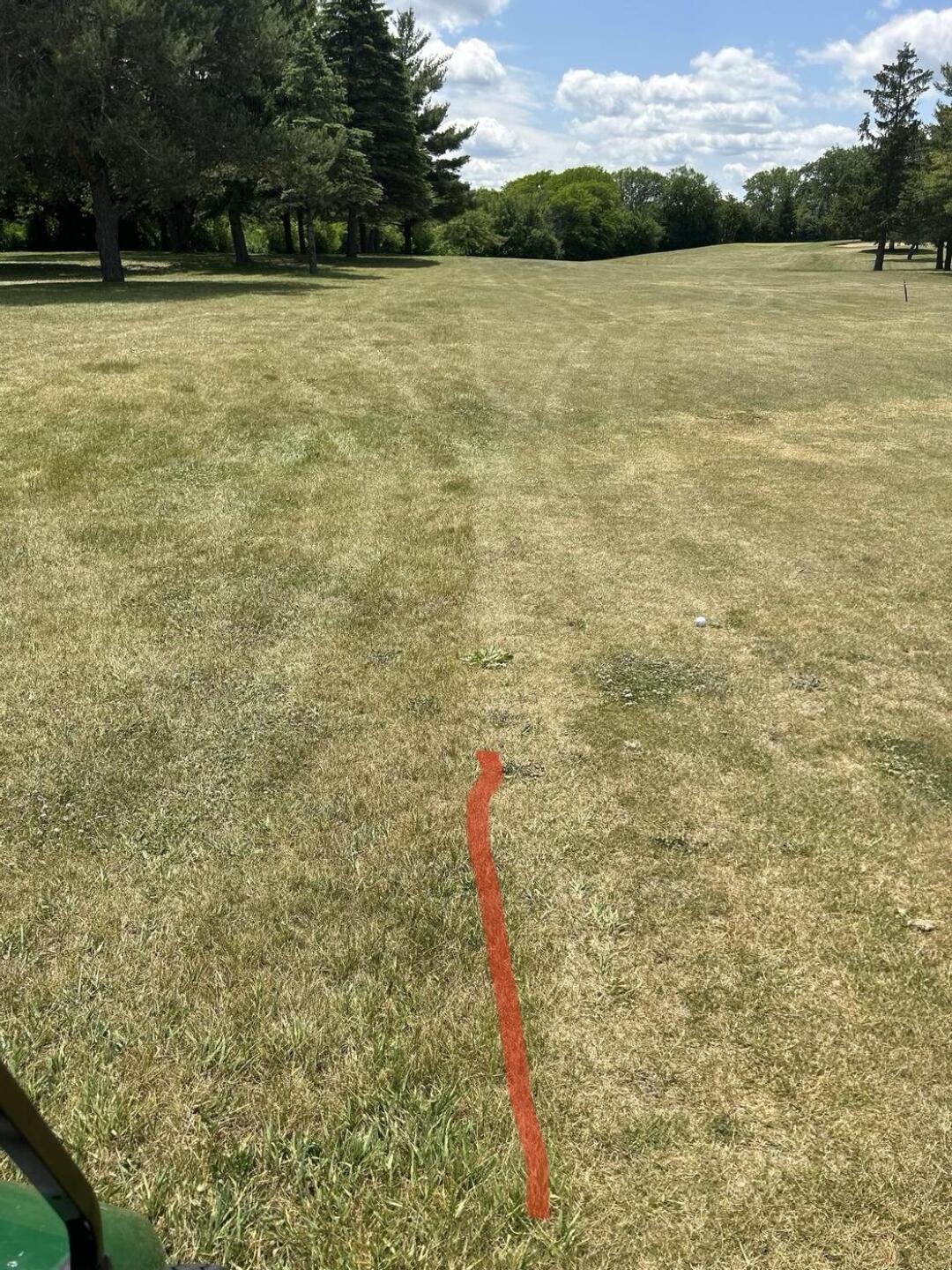 Left side rough. Right side fairway (Photo submitted by dfoch23 on 06/12/2023)