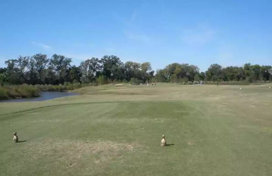 Pelican Point GC - Get Golf Ready: #4