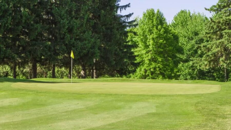 Seneca Falls CC: #3