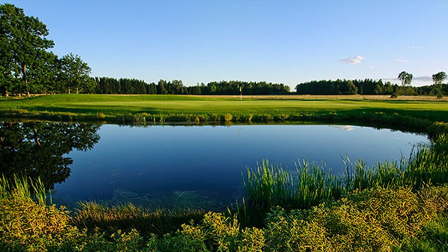 Ekarnas GC: #7
